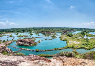 vegetation around the abandoned mine pond.