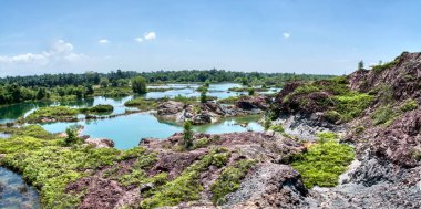vegetation around the abandoned mine pond.
