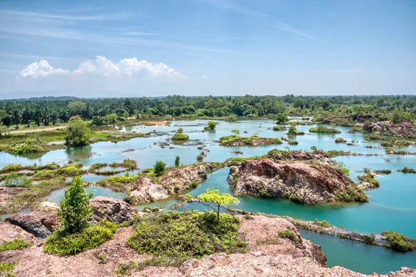 Vegetation Abandoned Mine Pond — Stockfoto