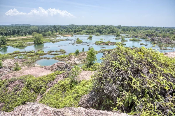 Vegetation Abandoned Mine Pond — Stok fotoğraf