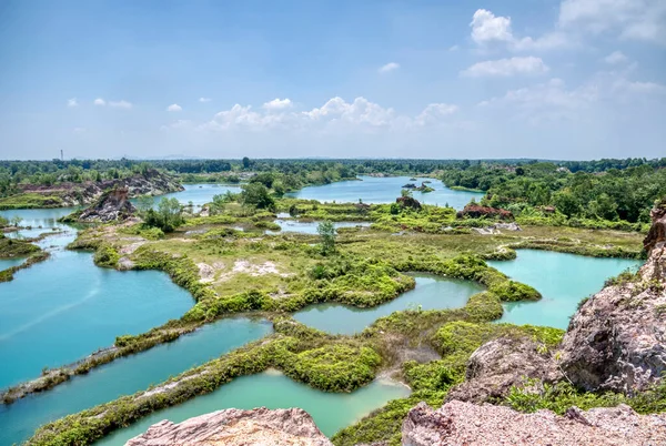 Vegetation Abandoned Mine Pond — Stockfoto