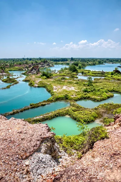 Vegetation Abandoned Mine Pond — Stockfoto