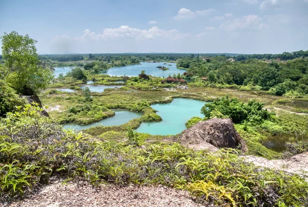 Vegetation Abandoned Mine Pond — Stockfoto