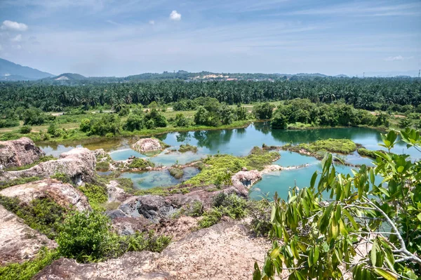 Vegetation Abandoned Mine Pond — Stok fotoğraf