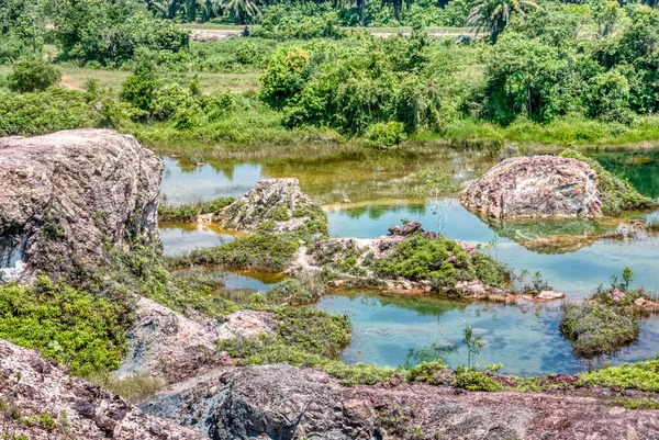 Vegetation Abandoned Mine Pond — Stockfoto