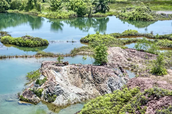 Vegetation Abandoned Mine Pond — Stok fotoğraf