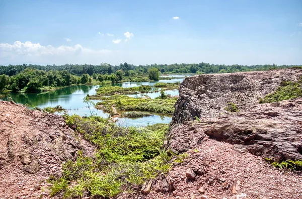 Vegetation Abandoned Mine Pond — Stok fotoğraf