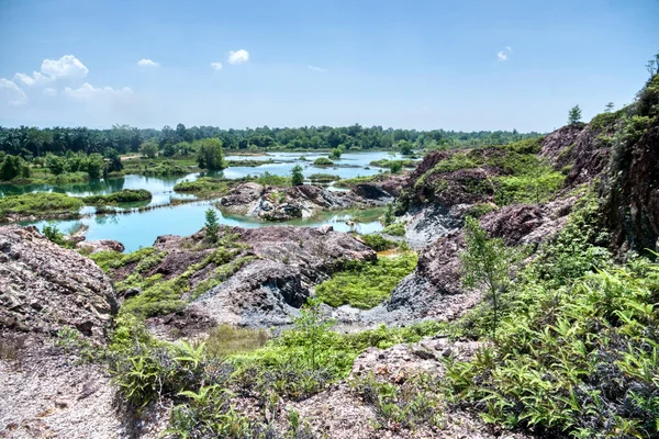 Vegetation Abandoned Mine Pond — Stockfoto