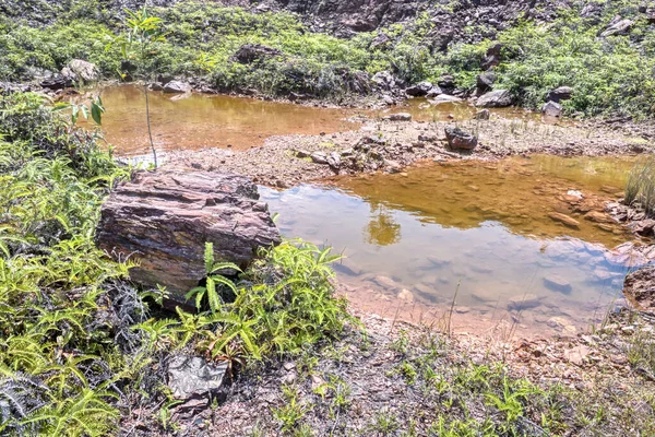 Vegetation Abandoned Mine Pond — Stockfoto
