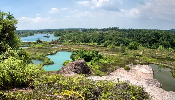 Vegetation Abandoned Mine Pond — Stockfoto