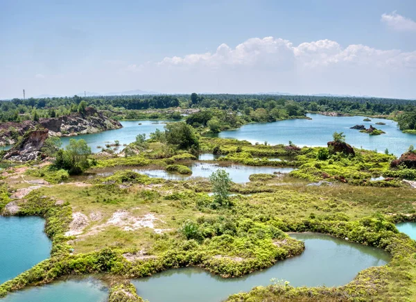 Vegetation Abandoned Mine Pond — Stok fotoğraf