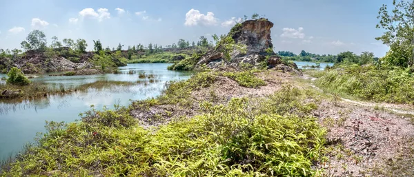 Vegetation Abandoned Mine Pond — Stok fotoğraf