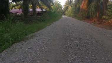 footage of the forward motion movement in the rural countryside road pathway.