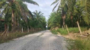 footage of the forward motion movement in the rural countryside road pathway.