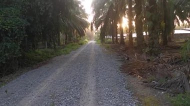 footage of the forward motion movement in the rural countryside road pathway.