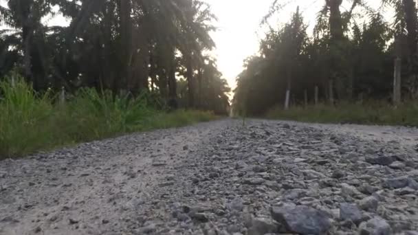 Footage Forward Motion Movement Rural Countryside Road Pathway — Vídeo de Stock