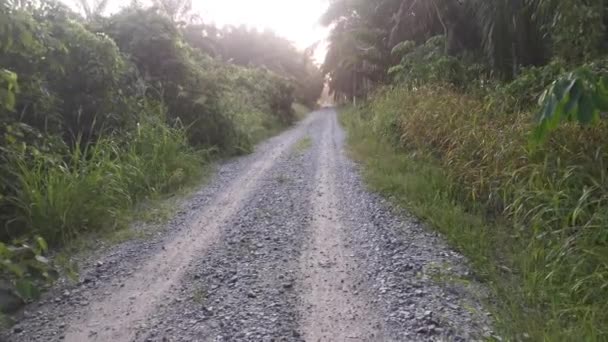 Footage Forward Motion Movement Rural Countryside Road Pathway — Vídeo de Stock