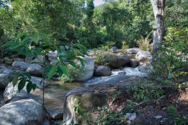 water flowing the rocky river stream in the forest.