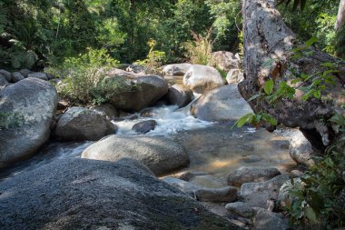 water flowing the rocky river stream in the forest.