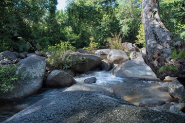 water flowing the rocky river stream in the forest.
