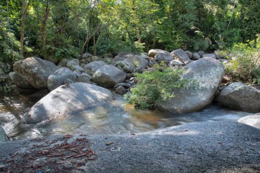 water flowing the rocky river stream in the forest.