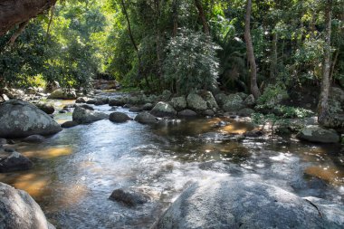 water flowing the rocky river stream in the forest.