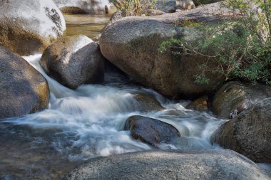 water flowing the rocky river stream in the forest.
