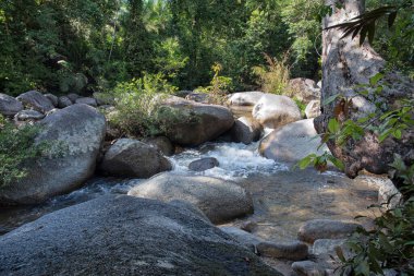 water flowing the rocky river stream in the forest.
