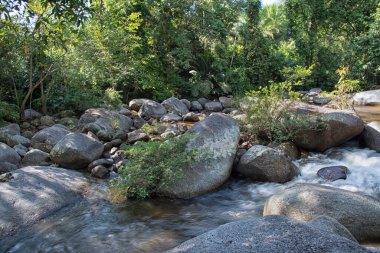water flowing the rocky river stream in the forest.