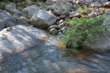 water flowing the rocky river stream in the forest.