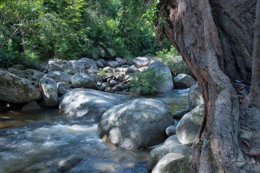 water flowing the rocky river stream in the forest.