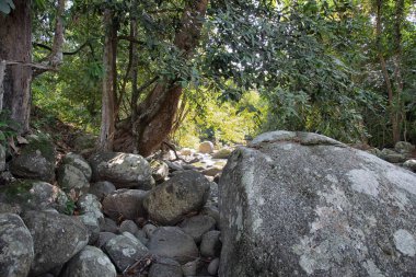 water flowing the rocky river stream in the forest.
