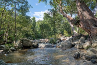 water flowing the rocky river stream in the forest.