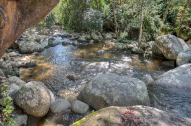 water flowing the rocky river stream in the forest.