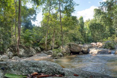water flowing the rocky river stream in the forest.