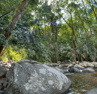 water flowing the rocky river stream in the forest.