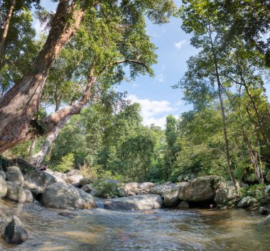 water flowing the rocky river stream in the forest.