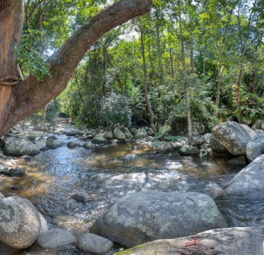 water flowing the rocky river stream in the forest.