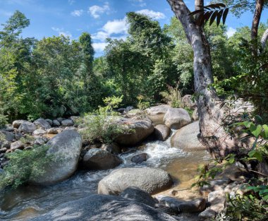 water flowing the rocky river stream in the forest.