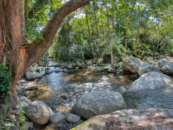 Water Flowing Rocky River Stream Forest — Stockfoto