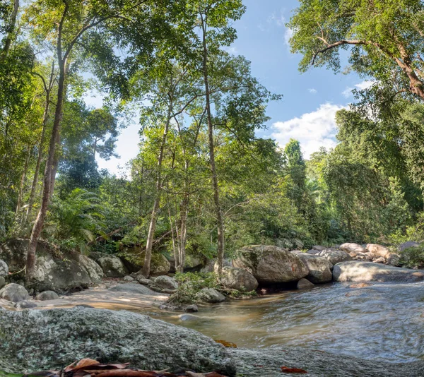 water flowing the rocky river stream in the forest.