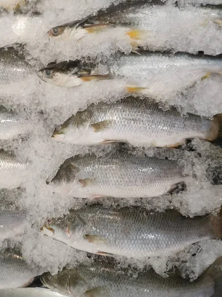 Poissons Mer Frais Sur Glaçon Vente — Photo