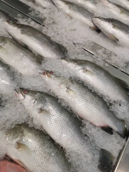 新鲜的海底鱼在冰块上出售 — 图库照片