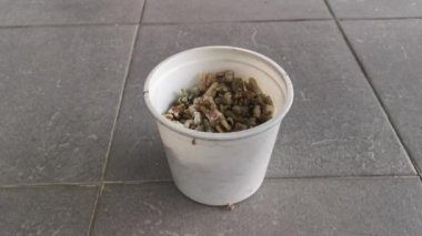 İstenmeyen çürümüş insan dişi demeti..