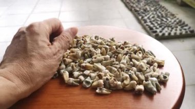 İstenmeyen çürümüş insan dişi demeti..