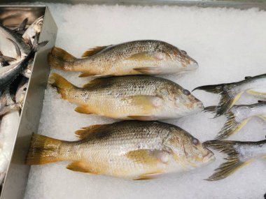 Buz küpünde satılık kara tilapia balığı.