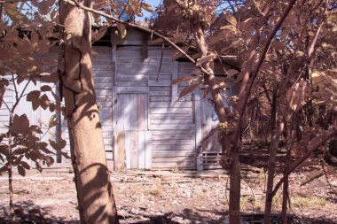 Kırsal kesimdeki sefil çiftliğin kızılötesi görüntüsü..