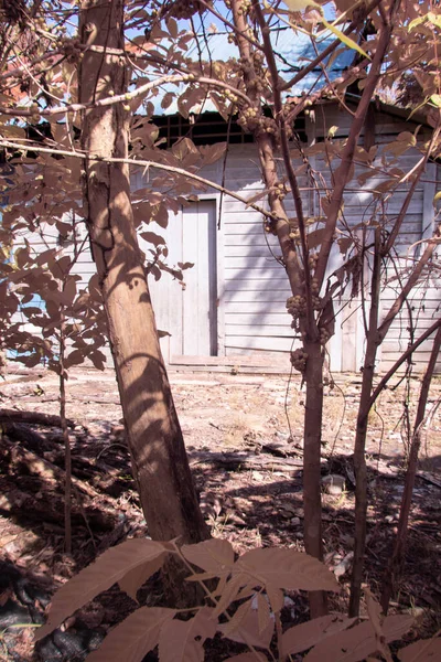 Infrared Image Scene Rural Shabby Residence Farm — Stock Photo, Image