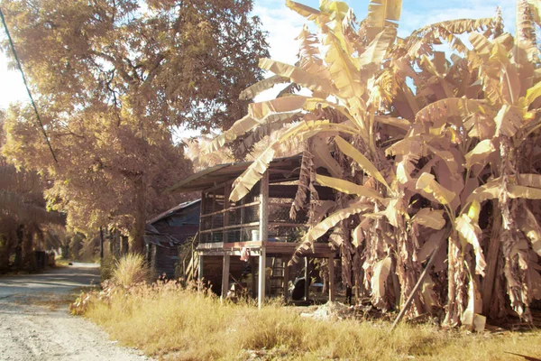 Infrarrojos Escena Granja Rural Residencia Mal Estado — Foto de Stock