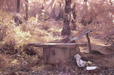 Petrol palmiyesi tarımı çevresindeki çevresel kızılötesi görüntü.